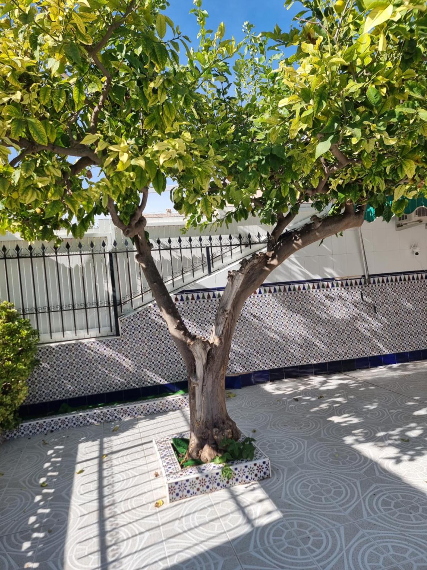 Casa Tranquila Cerca Del Mar Vila Santiago De La Ribera Exterior foto